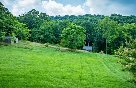cleared land, fence, trees, shed, cabin