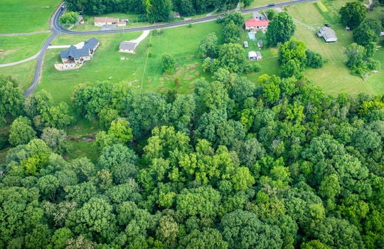 aerial photo, trees, land, neighboring homes, road