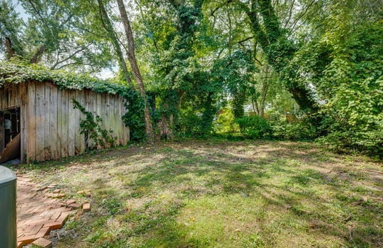 back yard, trees, storage shed