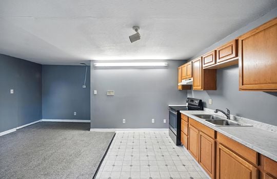 kitchen/living room, carpet, vinyl flooring, oven/range, cabinets, countertops, sink