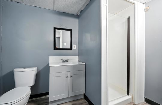 bathroom, shower, tub, toilet, luxury vinyl flooring