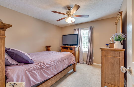 bedroom, carpet, window, ceiling fan