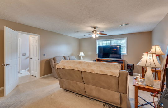 lower level den, carpet, ceiling fan, windows