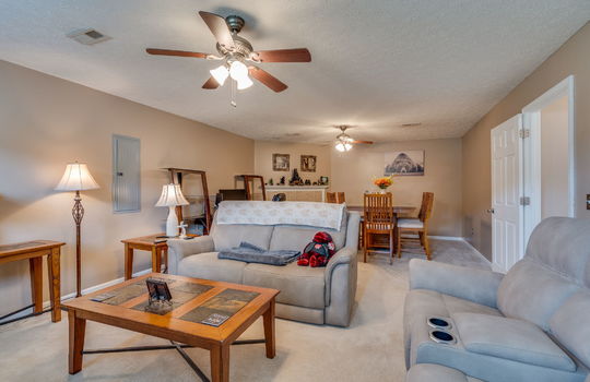 lower level living area, carpet, ceiling fan