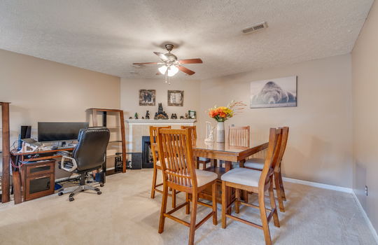 lower level living area, carpet, ceiling fan, fireplace