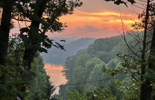 lake view from property, trees, lake view