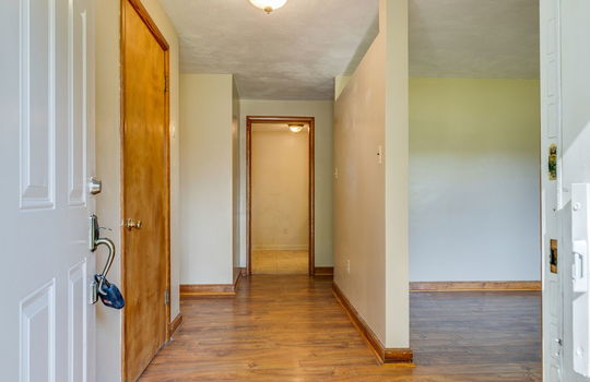 front door, entryway, laminate flooring