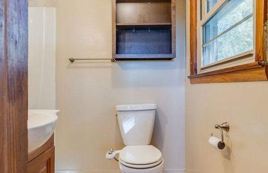 primary bathroom, sink, toilet, shower, window