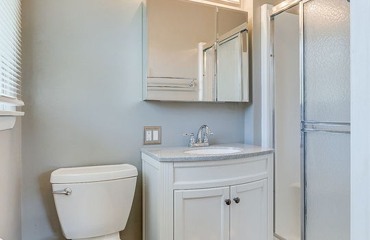 primary bathroom, toilet, sink, shower, shower door