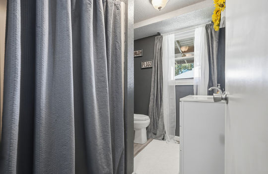 lower level bathroom, sink, toilet, shower