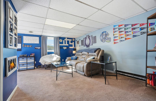 lower level den, carpet, window