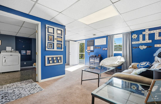 lower level den, carpet, exterior door, laundry room