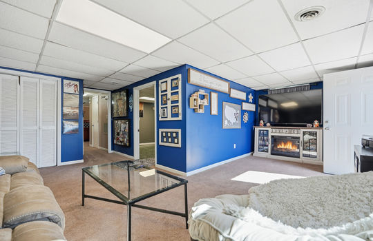 lower level den, carpet, door to laundry room, exterior door, hallway, closet, ceiling tiles