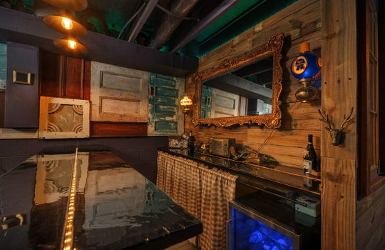 lower level speakeasy bar space, wine fridge