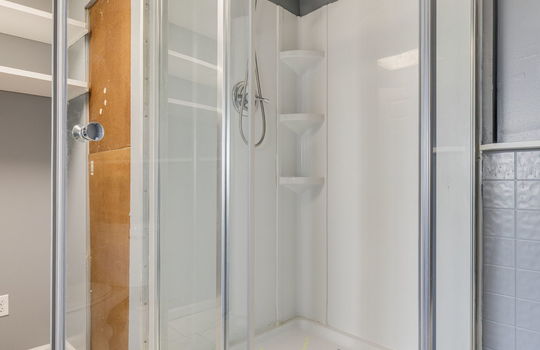 bathroom, shower, ceiling tile, glass shower door
