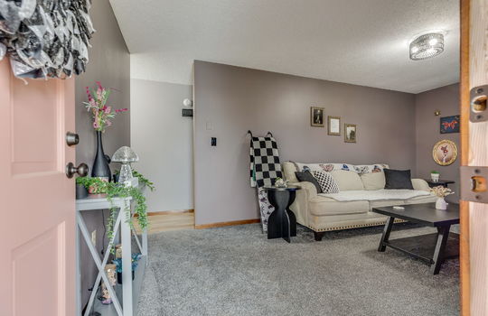 living room, front door view, carpet, hallway
