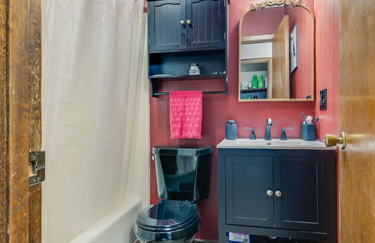 Bathroom, shower/tub, toilet, sink, luxury vinyl flooring, paneling walls