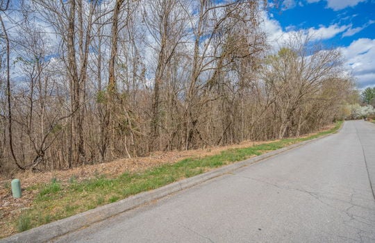 road, land for sale, 1.09+/- acres, trees
