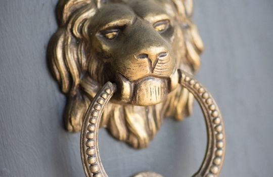 brass lion door knocker