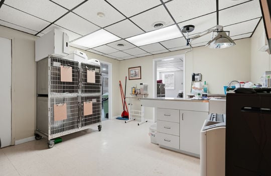 exam area, kennels, tile flooring, storage cabinets, kennels, ceiling tiles, fluorescent lighting