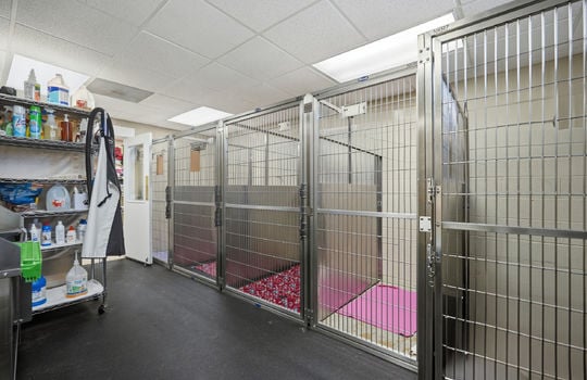 kennels