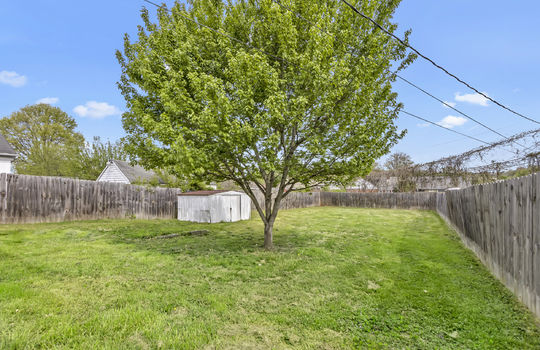 back yard, storage shed, tree, fencing