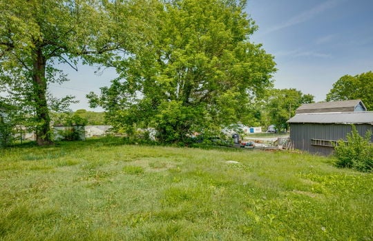 back yard, trees, neighboring properties