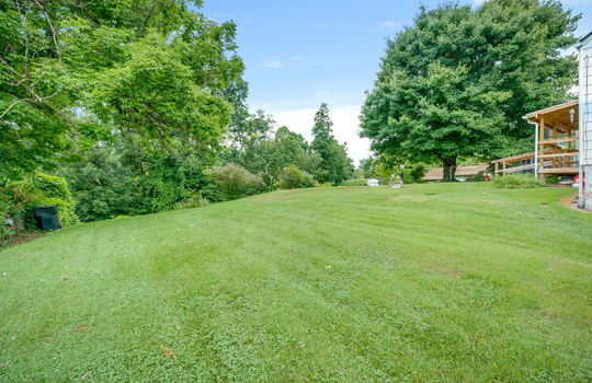 back yard, trees, fencing