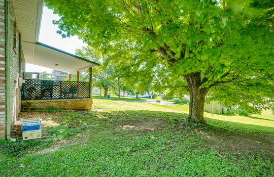 back yard, trees, back porch, covered back porch