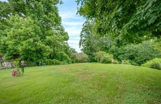 back yard, fencing, trees
