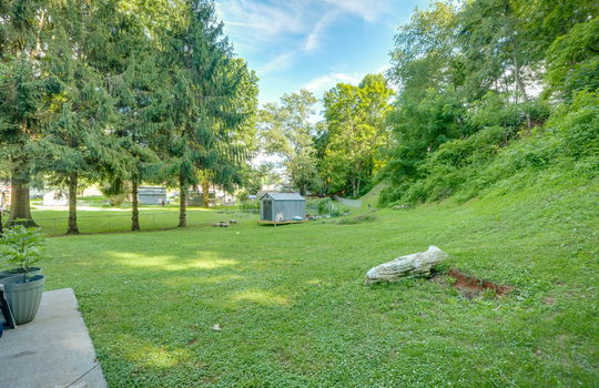 back yard, storage shed, trees, back yard