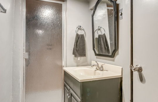 basement bathroom, sink, shower, laminate flooring