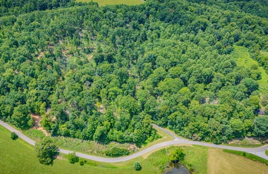 aerial view of property, surrounding properties, trees, fields, road