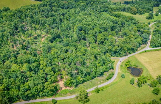 aerial view of property, surrounding properties, trees, fields, road, pond
