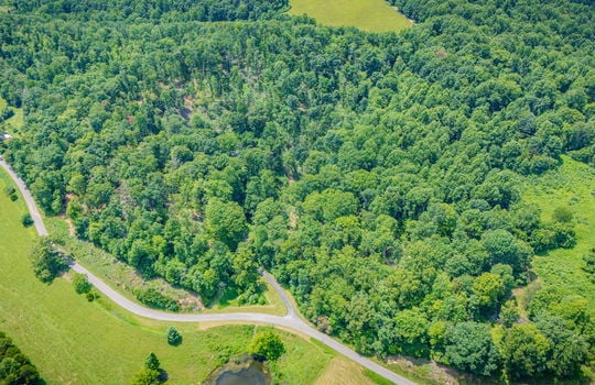 aerial view of property, surrounding properties, trees, fields, road, pond