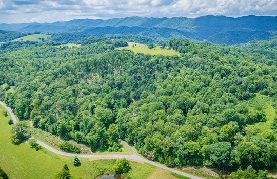 107aerial view of property, surrounding properties, trees, fields, road, pond, mountain views