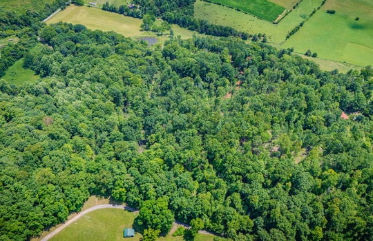 aerial view of property, surrounding properties, trees, fields, road