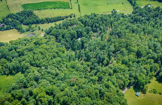 aerial view of property, surrounding properties, trees, fields, road