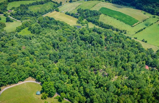 aerial view of property, surrounding properties, trees, fields, road