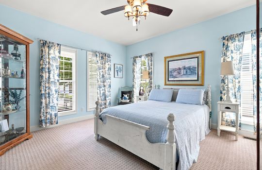 primary bedroom, carpet, windows, ceiling fan