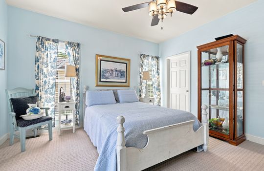 primary bedroom, carpet, ceiling fan, windows, closet