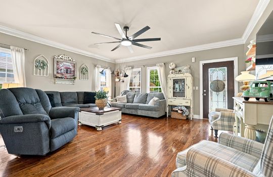 living room, front door, windows, oversized ceiling fan, hardwood flooring