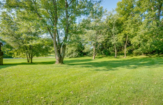 back yard, trees, landscaping