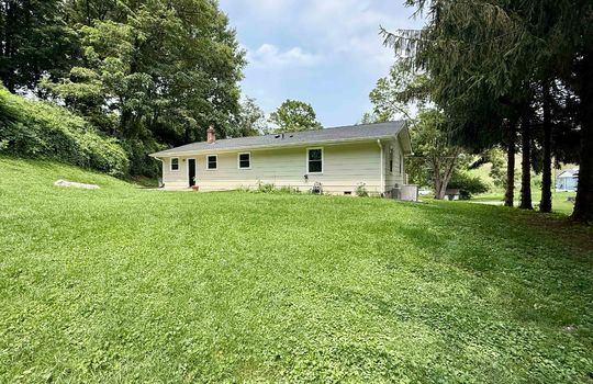 backyard, trees, back of home