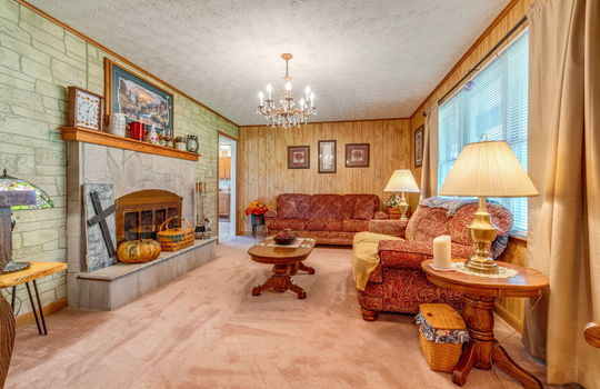 living room, paneling walls, fireplace, carpet, window