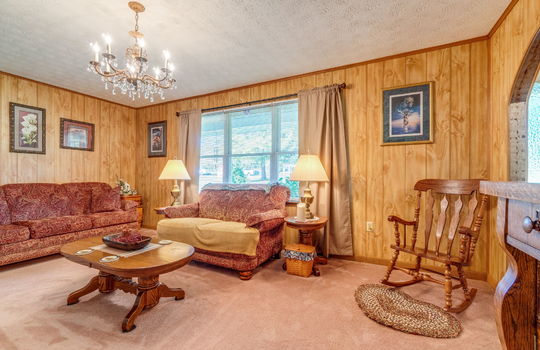 living room, carpet, paneling walls, window