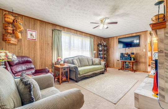 family room, carpet, fireplace, paneling walls, door to kitchen