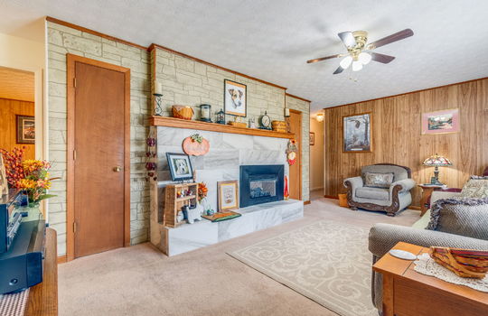 family room, fireplace, paneling walls, carpet, ceiling fans