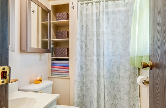 primary ensuite bathroom, built-in storage shelves, toilet, sink, laminate flooring, shower