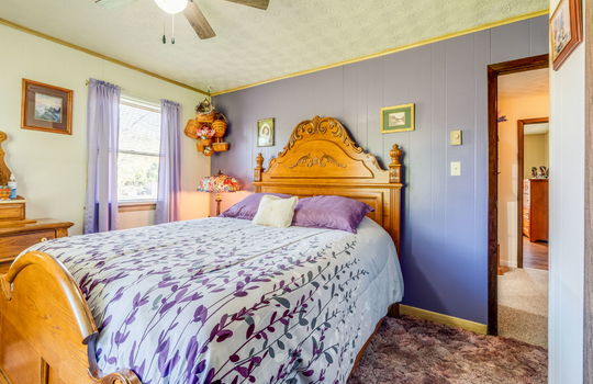 bedroom, painted paneling walls, carpet, windows, ceiling fan